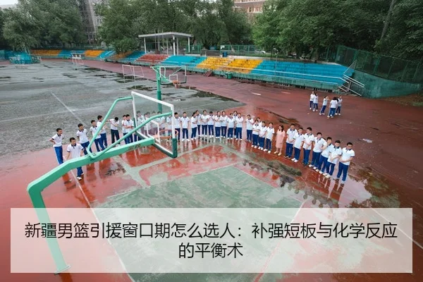 新疆男篮引援窗口期怎么选人：补强短板与化学反应的平衡术